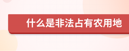 什么是非法占有农用地