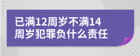 已满12周岁不满14周岁犯罪负什么责任