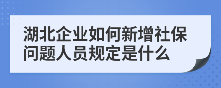 湖北企业如何新增社保问题人员规定是什么