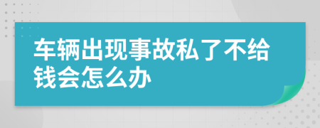 车辆出现事故私了不给钱会怎么办