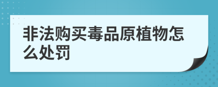 非法购买毒品原植物怎么处罚