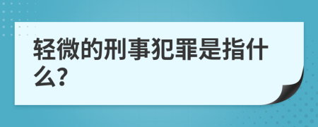 轻微的刑事犯罪是指什么？