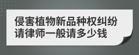 侵害植物新品种权纠纷请律师一般请多少钱