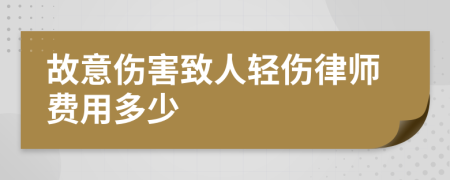 故意伤害致人轻伤律师费用多少