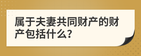 属于夫妻共同财产的财产包括什么？