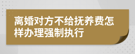 离婚对方不给抚养费怎样办理强制执行