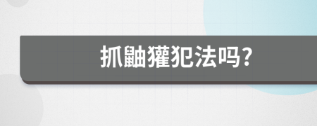 抓鼬獾犯法吗?