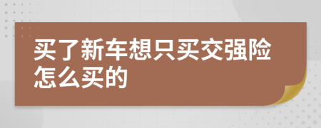 买了新车想只买交强险怎么买的