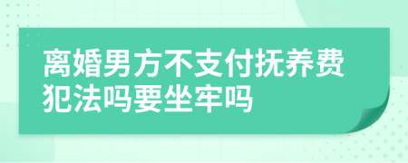 离婚男方不支付抚养费犯法吗要坐牢吗