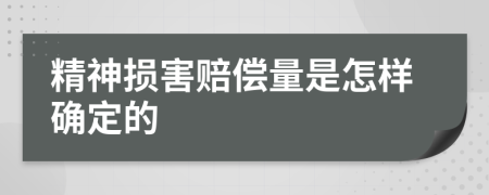 精神损害赔偿量是怎样确定的