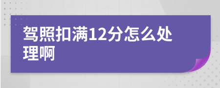 驾照扣满12分怎么处理啊