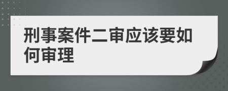 刑事案件二审应该要如何审理