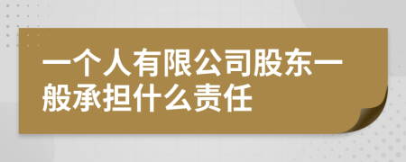 一个人有限公司股东一般承担什么责任