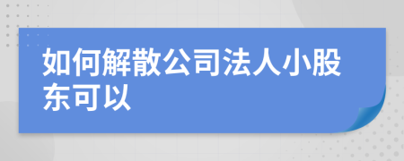 如何解散公司法人小股东可以