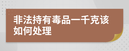 非法持有毒品一千克该如何处理