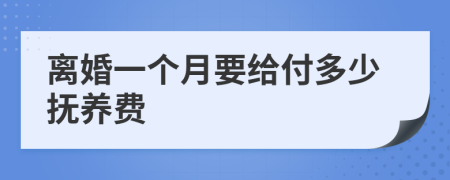 离婚一个月要给付多少抚养费
