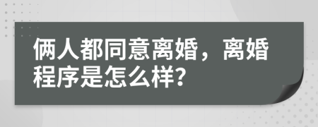 俩人都同意离婚，离婚程序是怎么样？