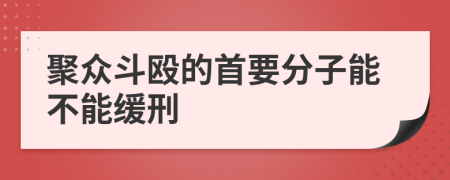 聚众斗殴的首要分子能不能缓刑