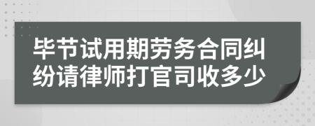 毕节试用期劳务合同纠纷请律师打官司收多少