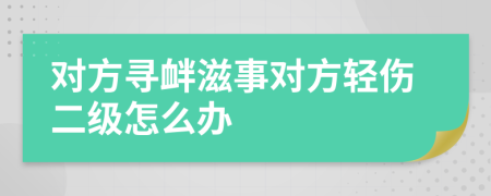 对方寻衅滋事对方轻伤二级怎么办