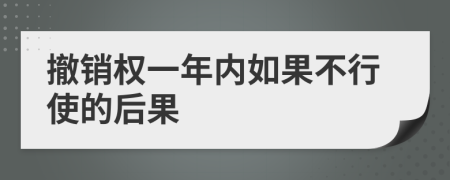 撤销权一年内如果不行使的后果