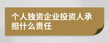 个人独资企业投资人承担什么责任