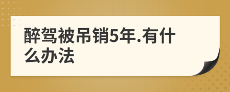 醉驾被吊销5年.有什么办法