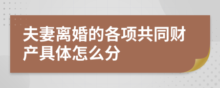 夫妻离婚的各项共同财产具体怎么分