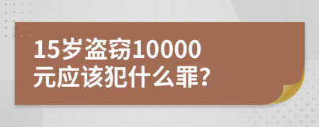 15岁盗窃10000元应该犯什么罪？