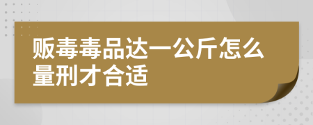 贩毒毒品达一公斤怎么量刑才合适