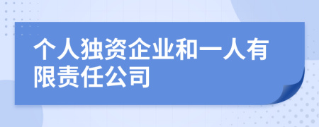 个人独资企业和一人有限责任公司