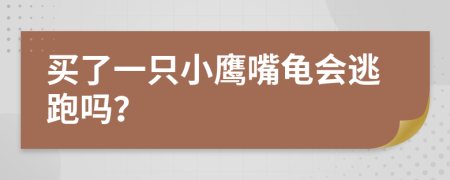 买了一只小鹰嘴龟会逃跑吗？