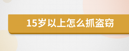 15岁以上怎么抓盗窃