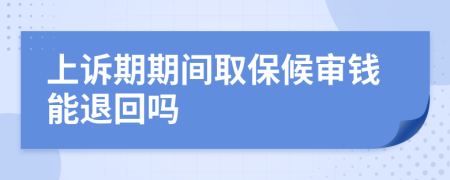 上诉期期间取保候审钱能退回吗