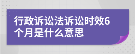 行政诉讼法诉讼时效6个月是什么意思