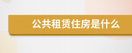 公共租赁住房是什么