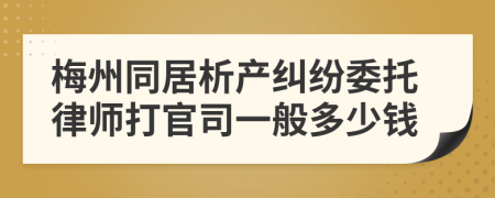 梅州同居析产纠纷委托律师打官司一般多少钱