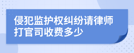 侵犯监护权纠纷请律师打官司收费多少