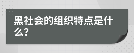 黑社会的组织特点是什么？