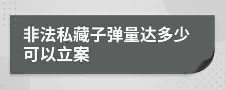 非法私藏子弹量达多少可以立案