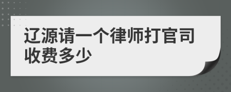 辽源请一个律师打官司收费多少