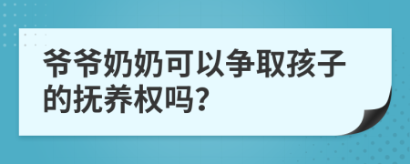 爷爷奶奶可以争取孩子的抚养权吗？