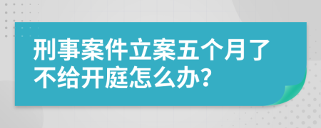 刑事案件立案五个月了不给开庭怎么办？