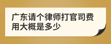 广东请个律师打官司费用大概是多少