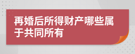 再婚后所得财产哪些属于共同所有