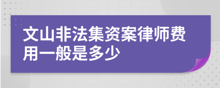 文山非法集资案律师费用一般是多少