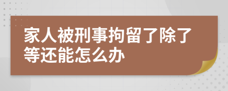 家人被刑事拘留了除了等还能怎么办