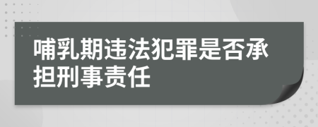 哺乳期违法犯罪是否承担刑事责任