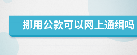 挪用公款可以网上通缉吗