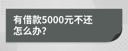 有借款5000元不还怎么办？